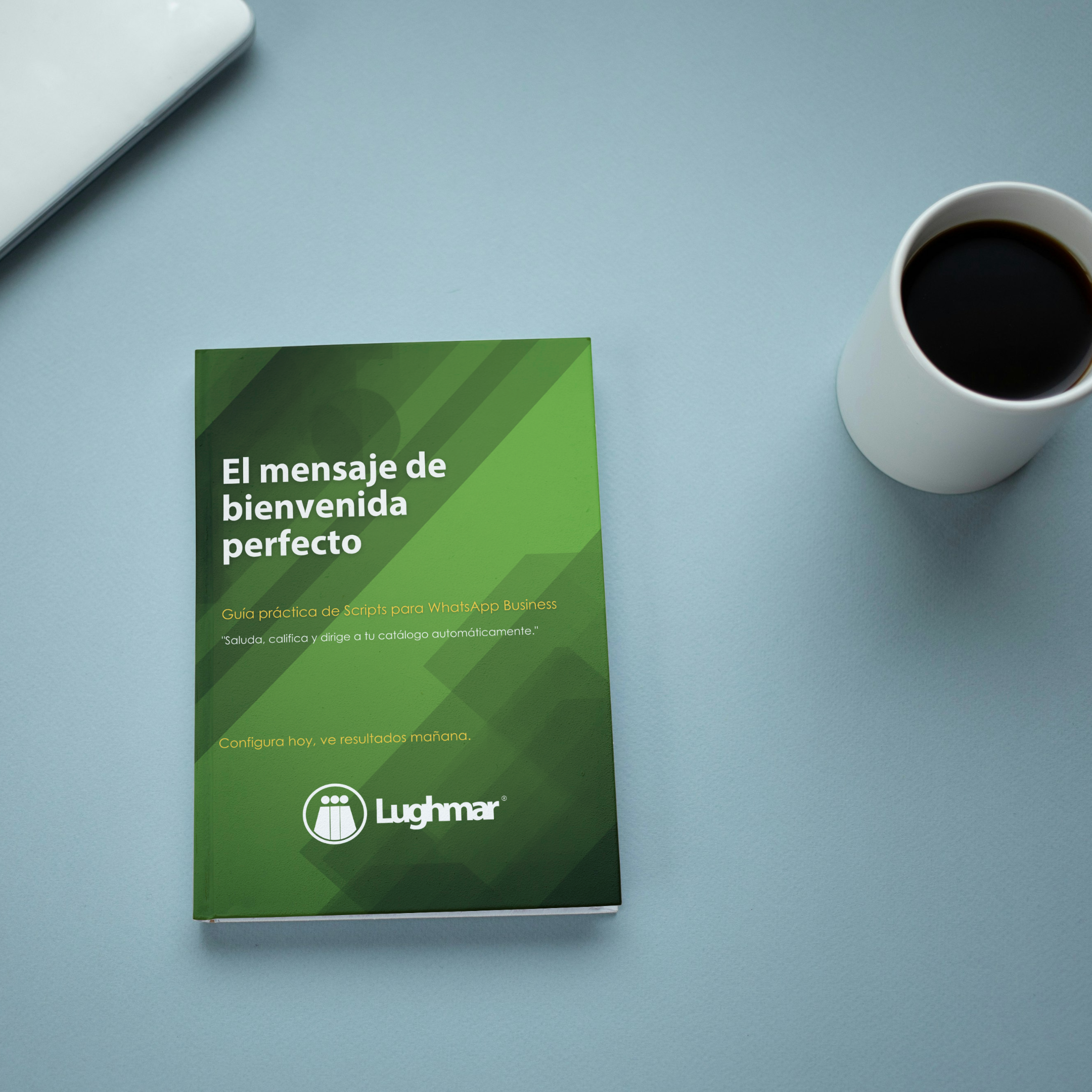 Guía de Scripts Estratégicos para WhatsApp Business - Image 2