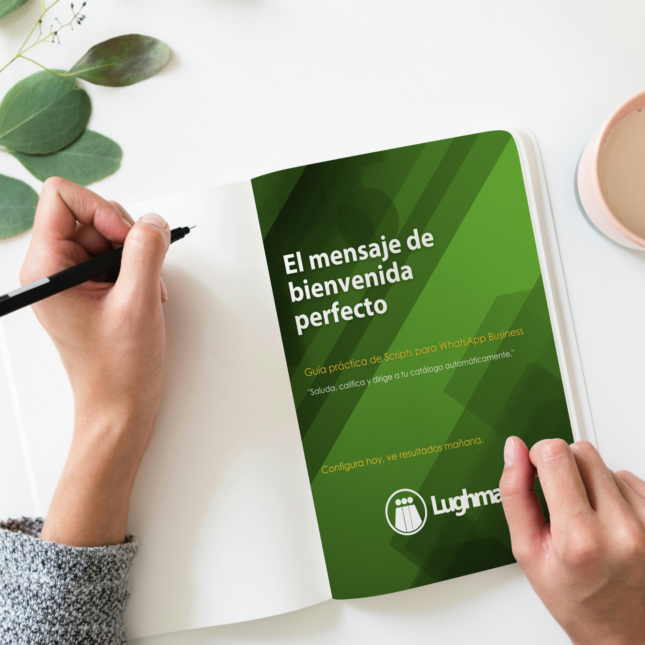 Guía de Scripts Estratégicos para WhatsApp Business - Image 4